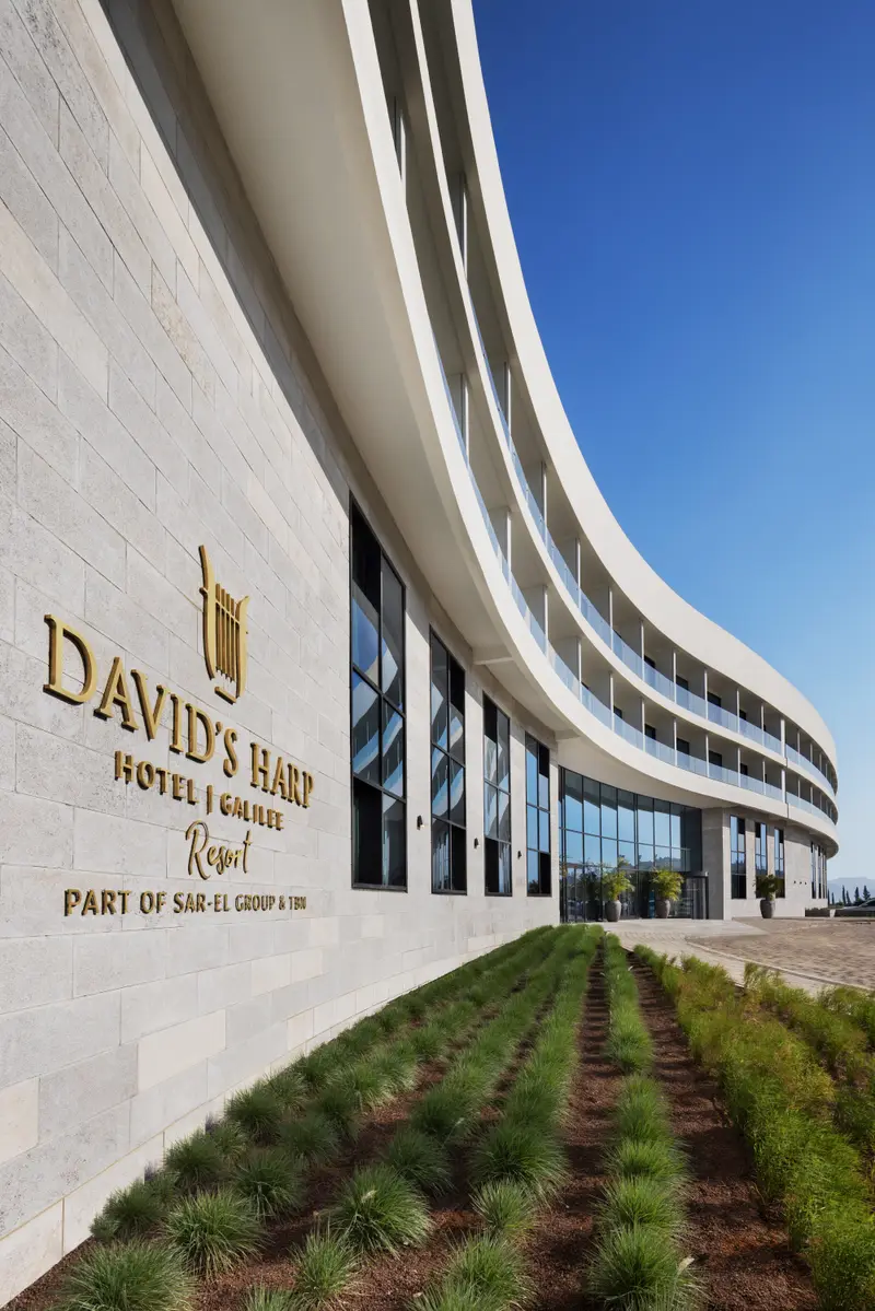 David's Harp Galilee