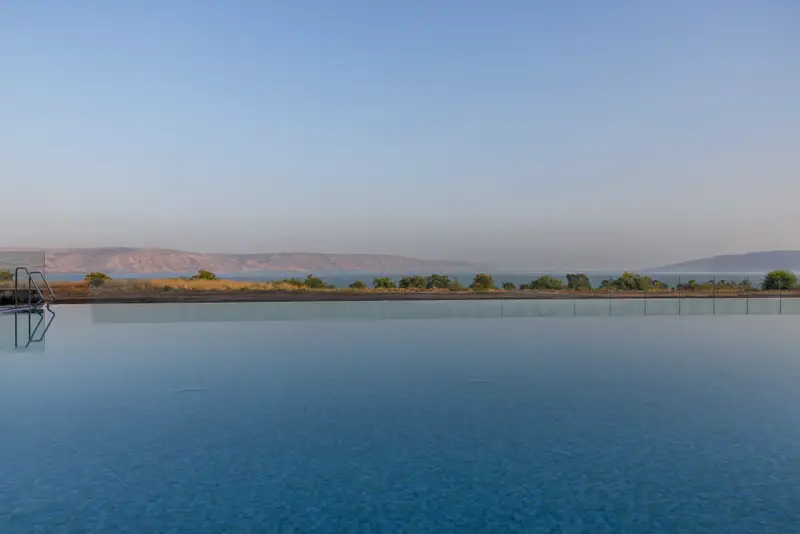 David's Harp Galilee
